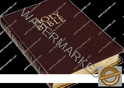 The “CLOBBER PASSAGES” Debunked